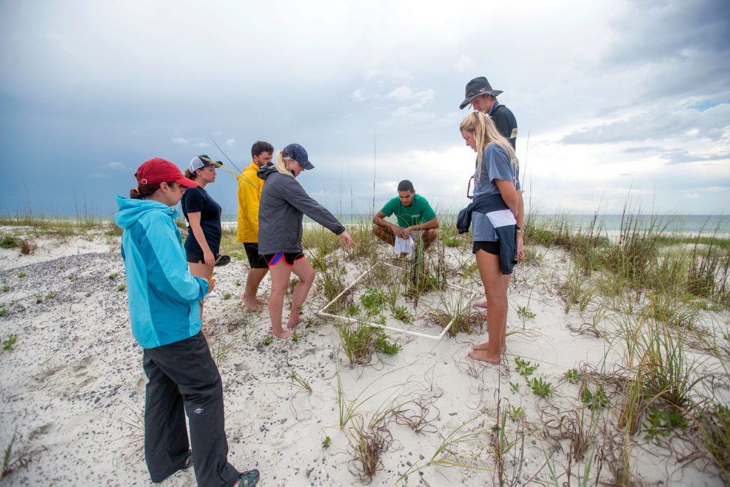 Field Studies Course students participate in the Santa Rosa Island geomorphology class at the University of West Florida.